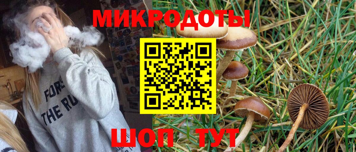 Галлюциногенные грибы GOLDEN TEACHER  закладки  Волгодонск  Вход с VPN 
